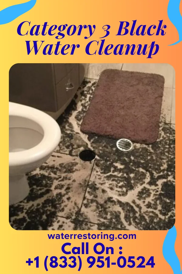 Category 3 Black Water Cleanup in Humboldt, TN