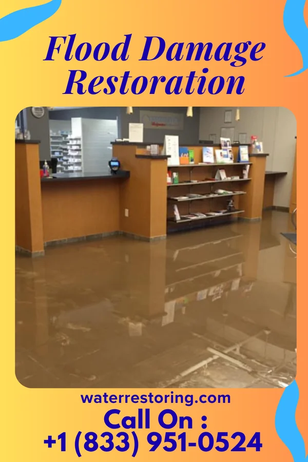 Flood Damage Restoration in Humboldt, TN