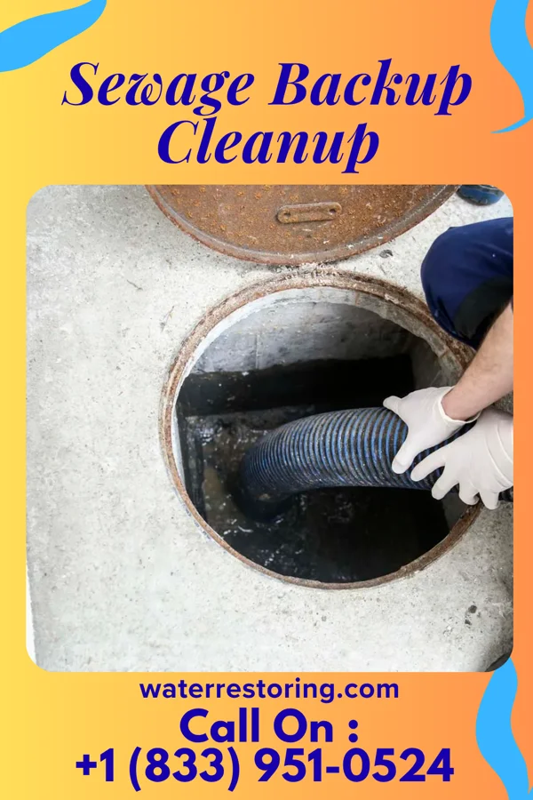 Sewage Backup Cleanup in Humboldt, TN