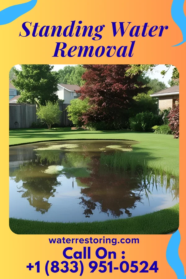 Standing Water Removal in Humboldt, TN